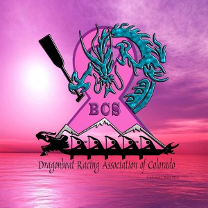 DRACO BCS Logo Sm